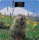 Весы напольные электронные Ardesto MATTERHORN SCB-965MATTERHORN 150 кг