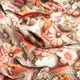 Ткань бязь ранфорс 5D для постельного белья, хлопок 125 гр/м2 240 см натуральная, постельная ткань, ткань для простыней