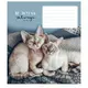 Тетрадь ученическая "Be joyful always" 012-3263K-5 в клетку на 12 листов