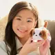 Интерактивная игрушка FurReal серии "My Miniʼs" - Маленький щенок