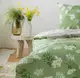 Постельное белье полуторное ТЕП GAISY 2-00881_24544 150х215 см