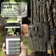 4G фотоловушка JerderFo T6 (GPS, 14MP, 24000 мАч, SP) (1326)