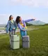 Чемодан Xiaomi Ninetygo HOBO Luggage 20` Grey (6941413243681)