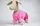 Комбинезон 305145 Zoobaza - 21 х 32, фуксия