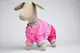 Комбинезон 305145 Zoobaza - 21 х 32, фуксия