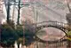 Фотообои текстурированные, виниловые Мосты, 250х380 см, fo01inV_br00117