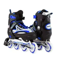 Раздвижные ролики Scale Sports. Black-Blue (размер 41-44)