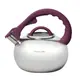 Чайник со свистком Kamille KM-0687A 2.8 л фиолетовый