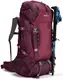 Туристический, походный рюкзак 60L Rocktrail бордовый IAN384282