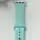 Силиконовый ремешок для умных часов Smart Watch 42/44 (Бирюзовый)