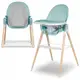 Стульчик для кормления 2в1 Lionelo Maya Green Turquoise