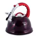 Чайник со свистком Kamille KM-0690N 3 л УЦЕНКА