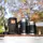 Термос Naturehike Stew beaker 750 мл NH20SJ041 black