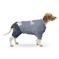 Костюм для собак Pipitao Dogbaby Blue размер S