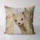 Подушка декоративная Soft Ласка 45x45 см (45PST_24S006)