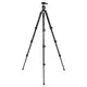 Штатив Vanguard Vesta FB 204ABS (Vesta FB 204ABS)