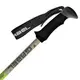 Палиці трекінгові Gabel Mont Blanc FL 4.0 Green 7008432300000