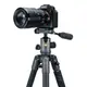 Штатив Vanguard VEO 2X 265CBP VEO 2X 265CBP