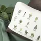 Подушка декоративная Cactuc ТМ IDEIA 35х53 см