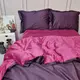 Постельное белье ДУЕТ VIOLET FLOWER/BERRY Premium Сатин однотон MERISET - Полуторный