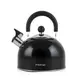 Чайник со свистком Holmer Euphoria WK-4425-BCSB 2.5 л черный