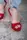 Женские босоножки Fashion Acey 2571 39 размер 25 см Красный