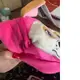 Уценка. Рюкзак детский, мягкий "Щенячий патруль: Скай", 22 см дырка