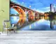 Фотообои текстурированные, виниловые Мосты, 250х380 см, fo01inV_br00402
