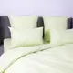 Постельное белье полуторное ТЕП Happy Sleep Leafy Luxe 2-03794-28766 150х215 см салатовые