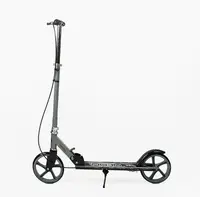 Самокат двоколісний Skyper Neon N-794 складане кермо сталева рама PU колеса. Grey and Black (194609)