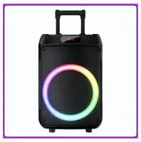 Колонка Bluetooth Wireless Speaker TTD-1209 с микрофонами и пультом ДУ ∙ Портативная TTD-1209 Bluetooth колонка 12"