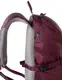 Спортивный рюкзак 20L Rocktrail Wanderrucksack бордовый