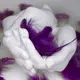 Набор для создания 3D слепка рук Для двоих (IMP_POR_2)