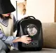 Рюкзак-переноска для кошек и собак 49x31x35 CosmoPet CP-62 Black