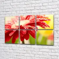 Модульные картины триптих, на Холсте нат., 72x110 см, (35x35-6)