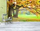 Фотообои текстурированные, виниловые Лес, 250х380 см, fo01inV_fs00027