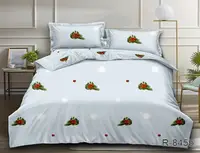 Комплект постельного белья R845b TAG(2-sp)-755b