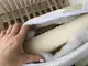 Матрас для детской кроватки Солодких снiв Aloe Vera кокос-поролон-кокос 120*60*12 см