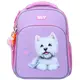 Рюкзак школьный каркасный YES S-78M Stay Pawesome 550226 18.7 л