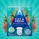 Таблетки для чистки унитазов Astonish toilet bowl cleaner Eucaliptus 5060060212695 8 шт