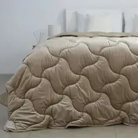 Одеяло двуспальное ТЕП VELOUR Золотий беж 1-04871_34481 180х210 см бежевый