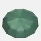 Автоматический зонт Monsen C112g-green