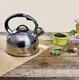 Чайник со свистком Barazzoni 802082000 3.5 л серебристый