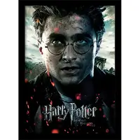 Постер в раме Harry Potter / Гарри Поттер (Deathly Hallows Part 2 – Harry) 30 х 40 см