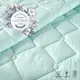 Набор Tropical TM IDEIA евро одеяло 200х220 см + 2 подушки 50х70 см, антиалергенный м'ята