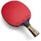 Ракетка для настольного тенниса Butterfly Timo Boll Force FL (6110300002)