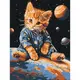 Картина по номерам "Звездный котик" 30х40 см