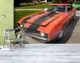 Фотообои текстурированные, виниловые Авто мир, 250х380 см, fo01inV_av11565