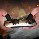 Игровой рукав для пальцев HOCO Magic Claw carbon fiber gaming finger set GA20
