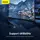 HUB адаптер BASEUS Working Station Four-Screen Multifunctional Type-C |16-in-1, 100W| (CAHUB-HG0G)